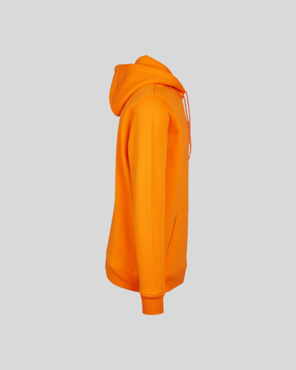 Heavy Regular Hoodie Sample