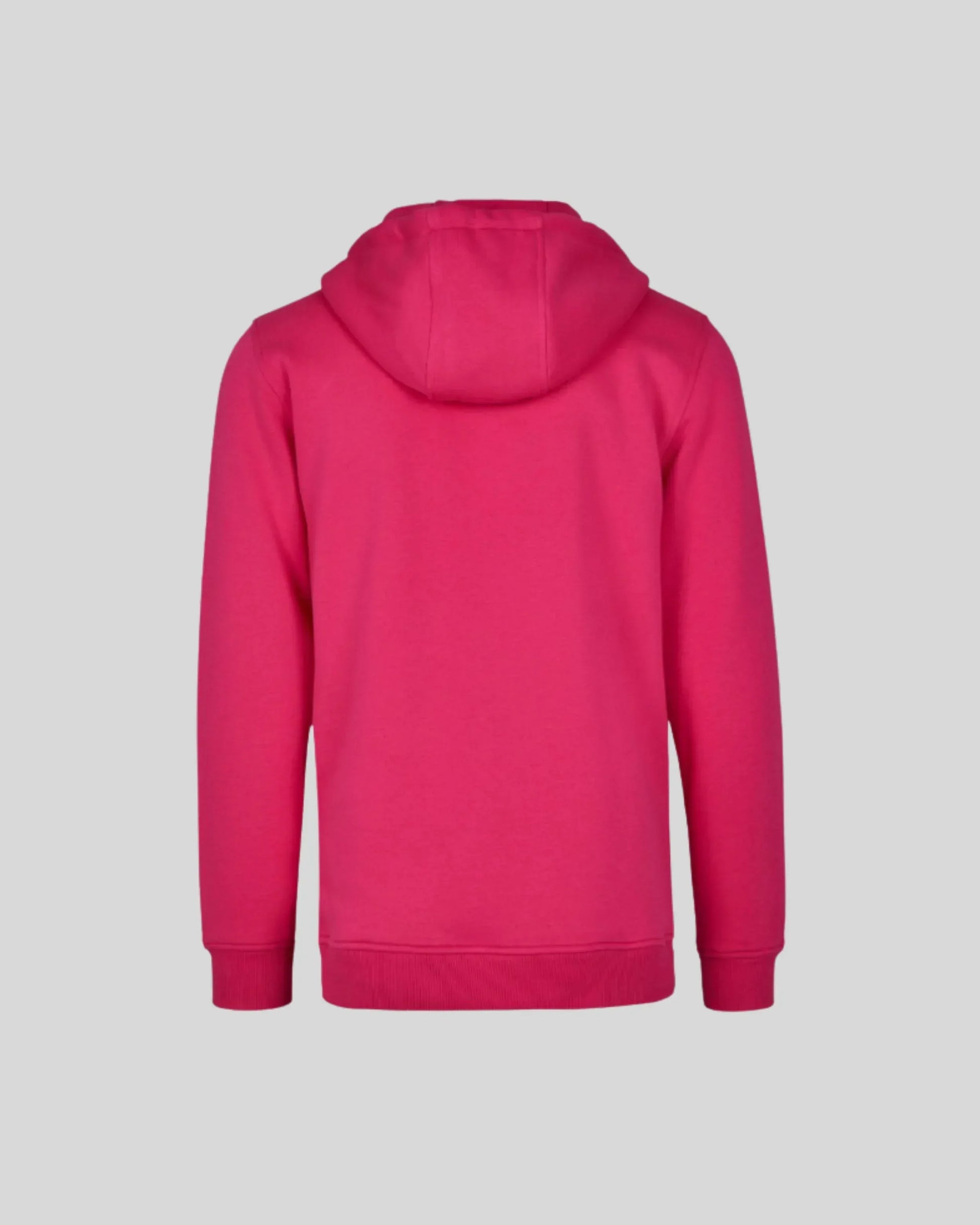 Heavy Regular Hoodie - Kleding Masters