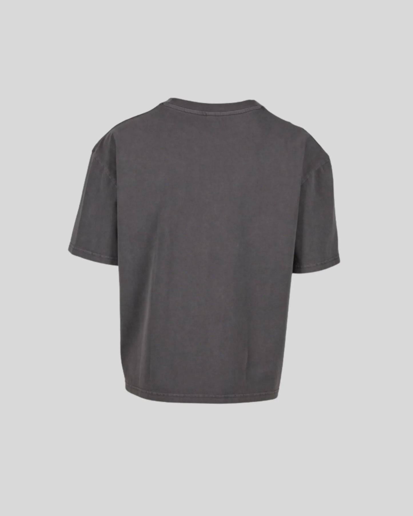 Vintage Cropped Heavy Oversize Tee Sample - Kleding Masters