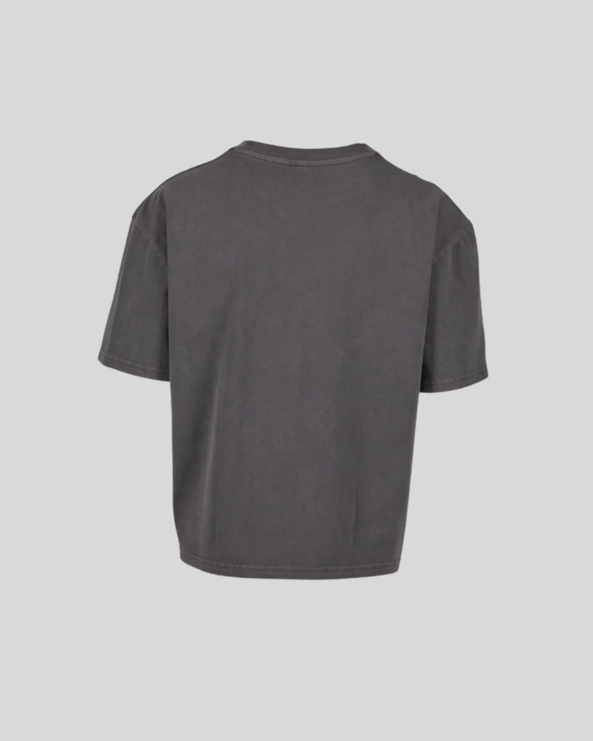 Vintage Cropped Heavy Oversize Tee Sample - Kleding Masters