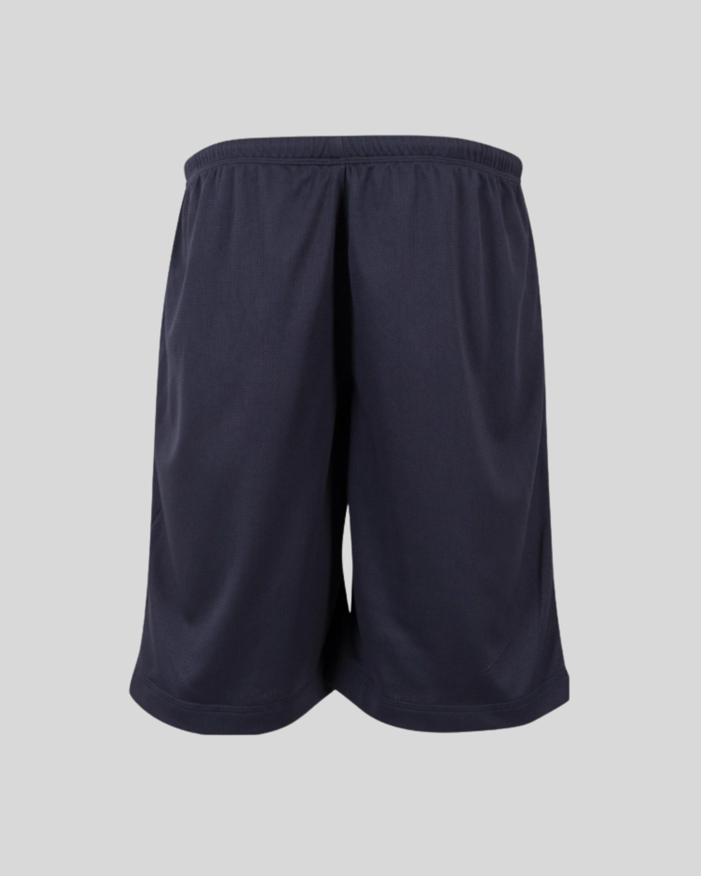 Mesh Short Sample